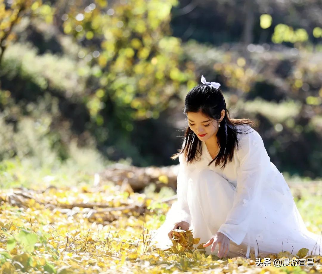 宜昌三峡最美公路景点,宜昌旅游攻略必去的景点百里荒