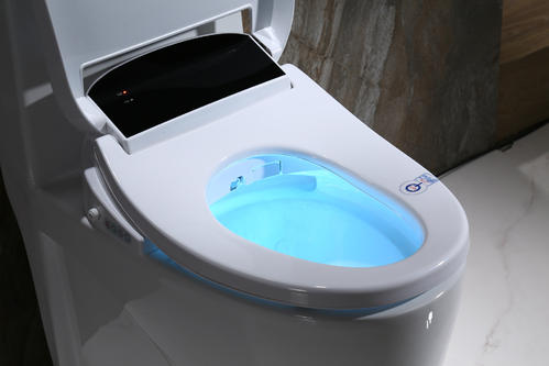 智能马桶不冲水小窍门,智能马桶的十大忠告