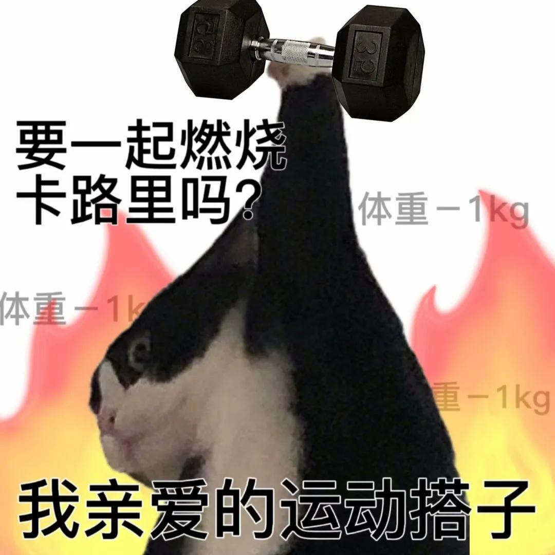 心里乱七八糟的表情包,搞笑图片沙雕表情包可保存