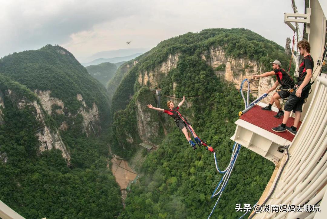 峰迷全世界,峰迷全球
