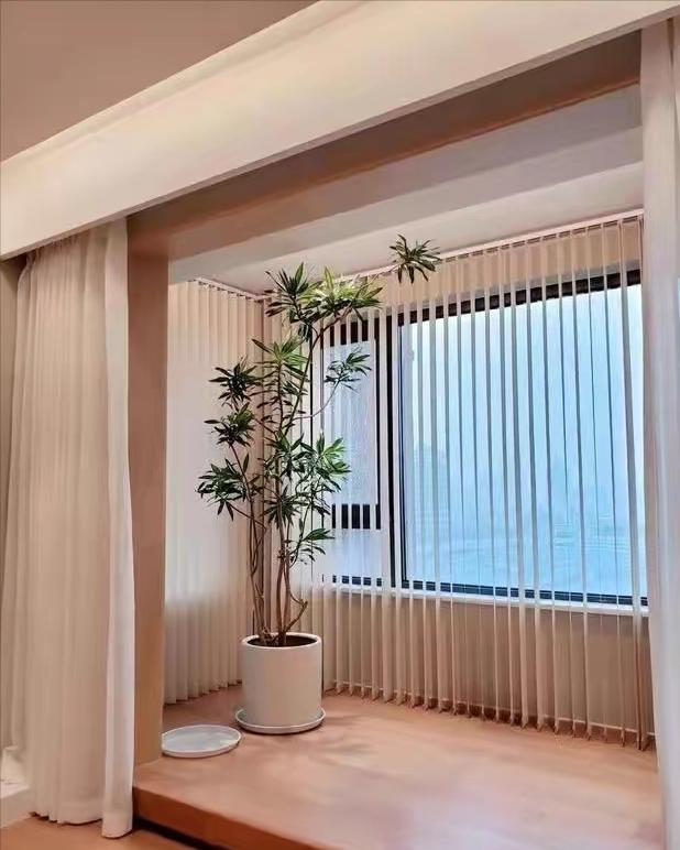 客厅大花盆栽树,100种家庭客厅盆栽树