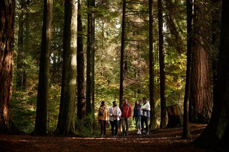 推荐一个滑雪加温泉的好地方,加拿大蓝山滑雪温泉攻略