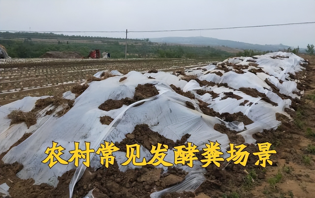 粪是不是氮肥,粪和肥料有什么区别