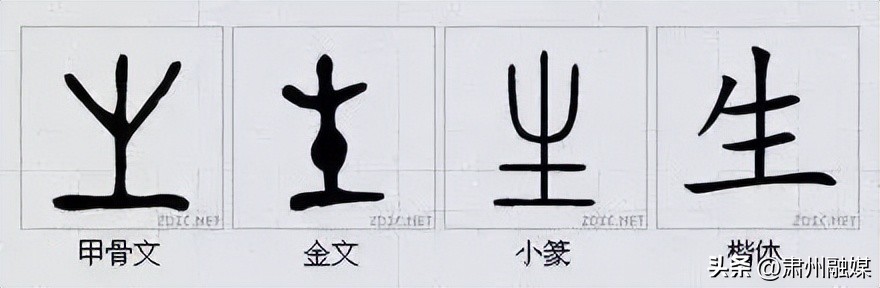 水平极高的演讲太精彩了,十大顶级经典演讲完整版