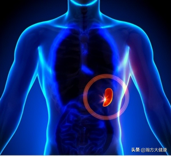 困乏和湿气的关系,白天困乏无力嗜睡是湿气比较重吗