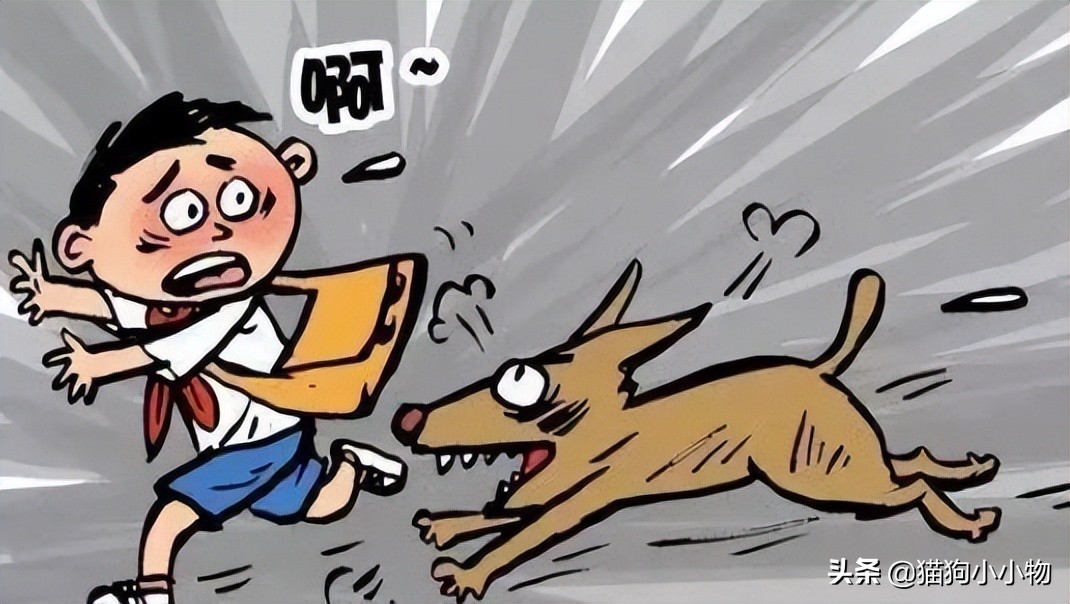 遇恶犬咬人如何救人,路遇恶犬如何救人如何自救