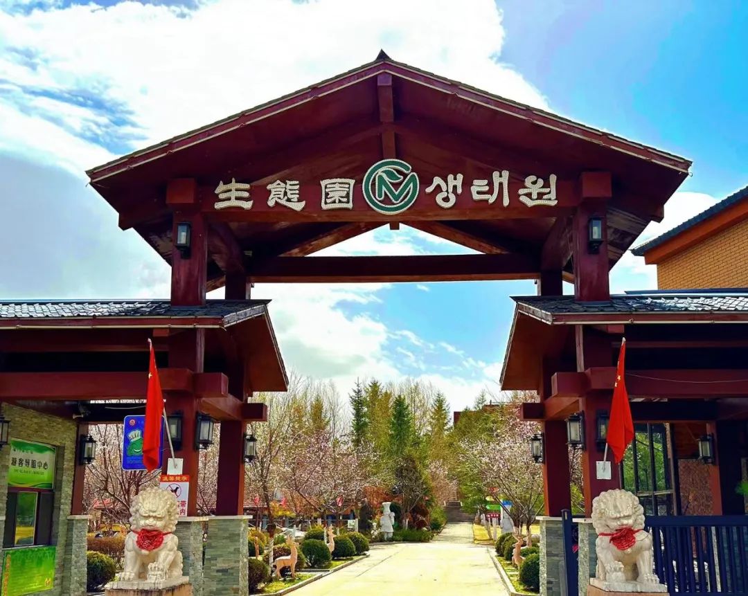 花漾一站式,花漾图们一站式体验春日浪漫