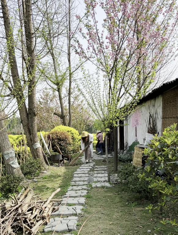 闲置猪圈变身小清新茶舍,3位80后妈妈在郫都打造向往的田园生活