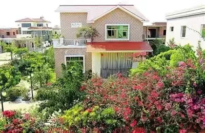 热门考点collect有关知识点解析