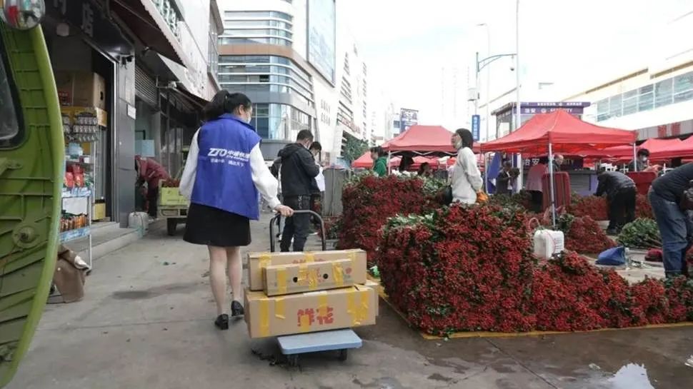 中通“冷面孔”：直营混搭加盟+猫武士，如何突围散装中国冷链？