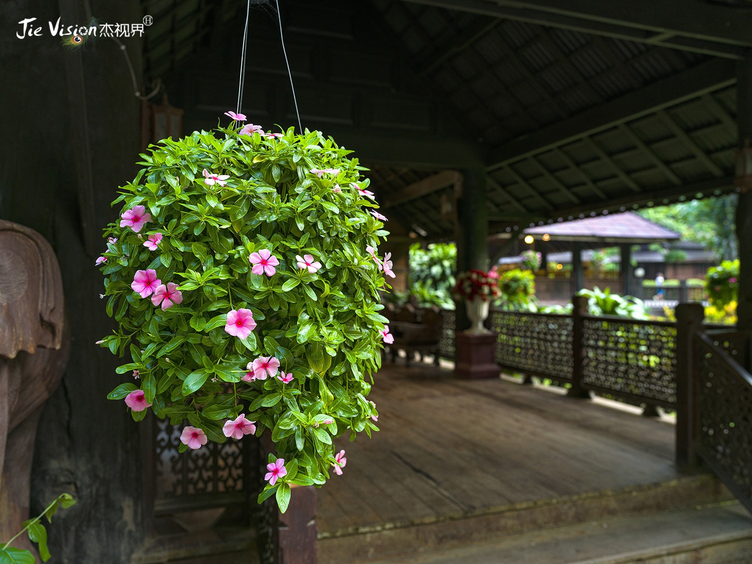 娉板浗娓呰繄鍥犱粬鍐滃北鍥藉鍏洯鏅偣,娉板浗娓呰繄鍥藉鍏洯