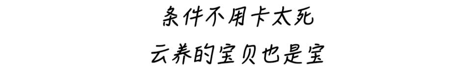 被气出来的6种疾病每一种都要命,这些病都是被气出来的看看这4点