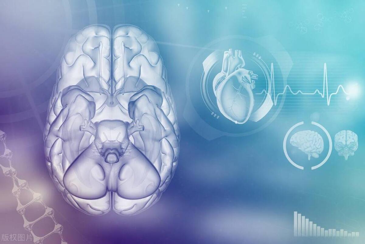 中医如何调整脑供血不足,中医如何调理脑供血不足