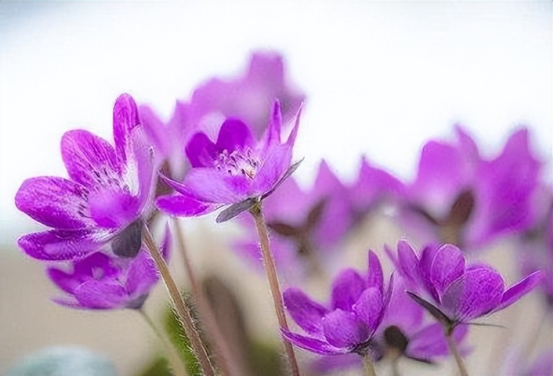 一个家庭慢慢走向衰败的前兆,家庭的衰败取决于5个根本