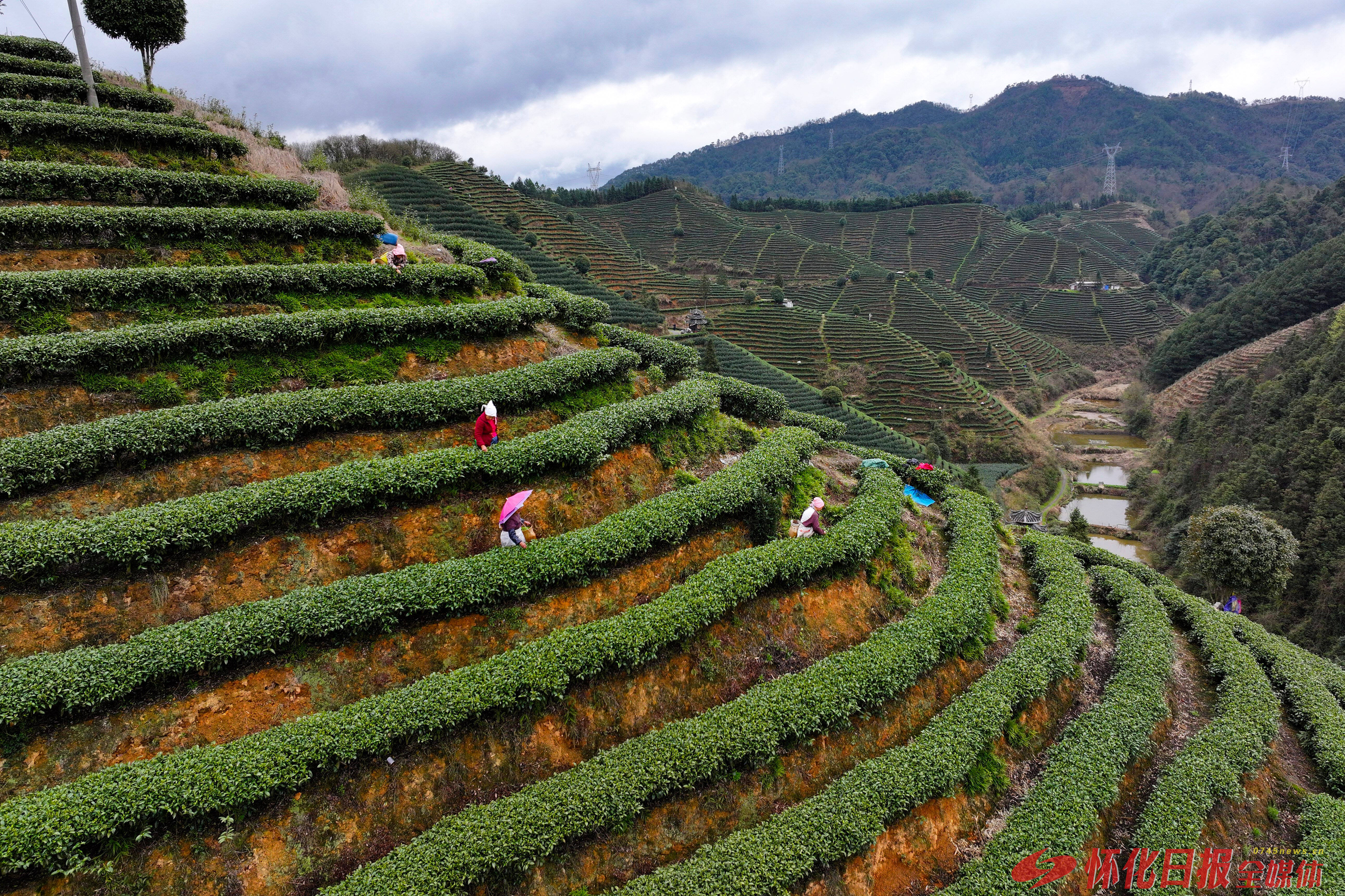 展现新作为开启新征程,展现新作为作出新贡献