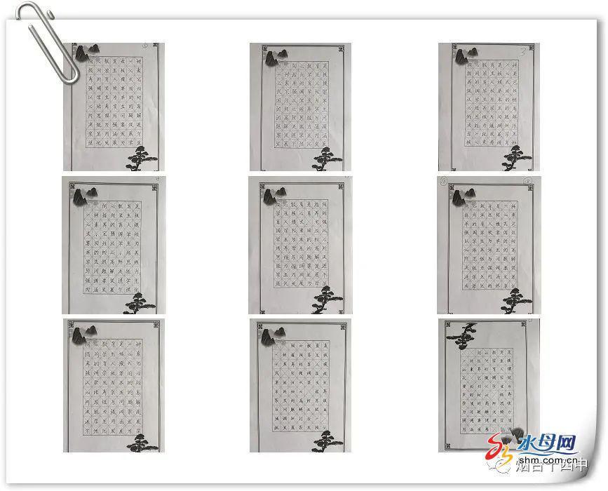 山东省中小学教师教学技能大赛,烟台市青年教师大比武