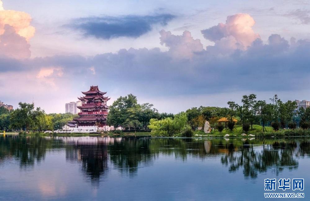 武汉园林绿化发展建议,聚焦质量提升推进高质量发展