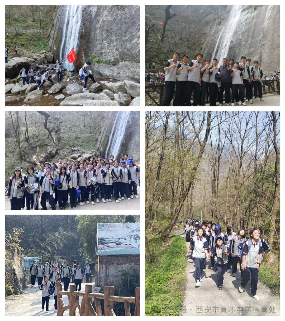 育才二小研学活动,育才中学社会实践活动方案