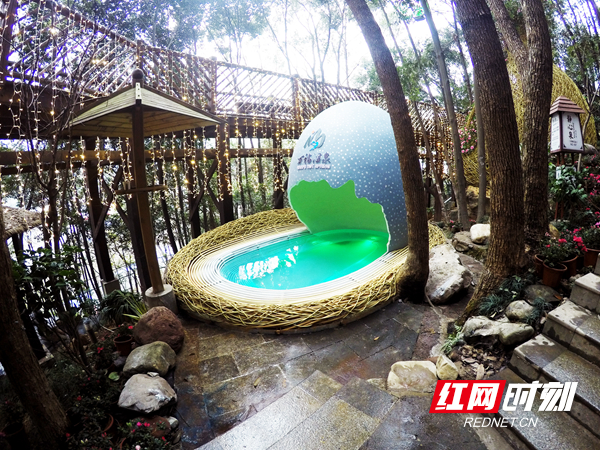 张家界冬季游玩冷吗,张家界温泉旅游攻略