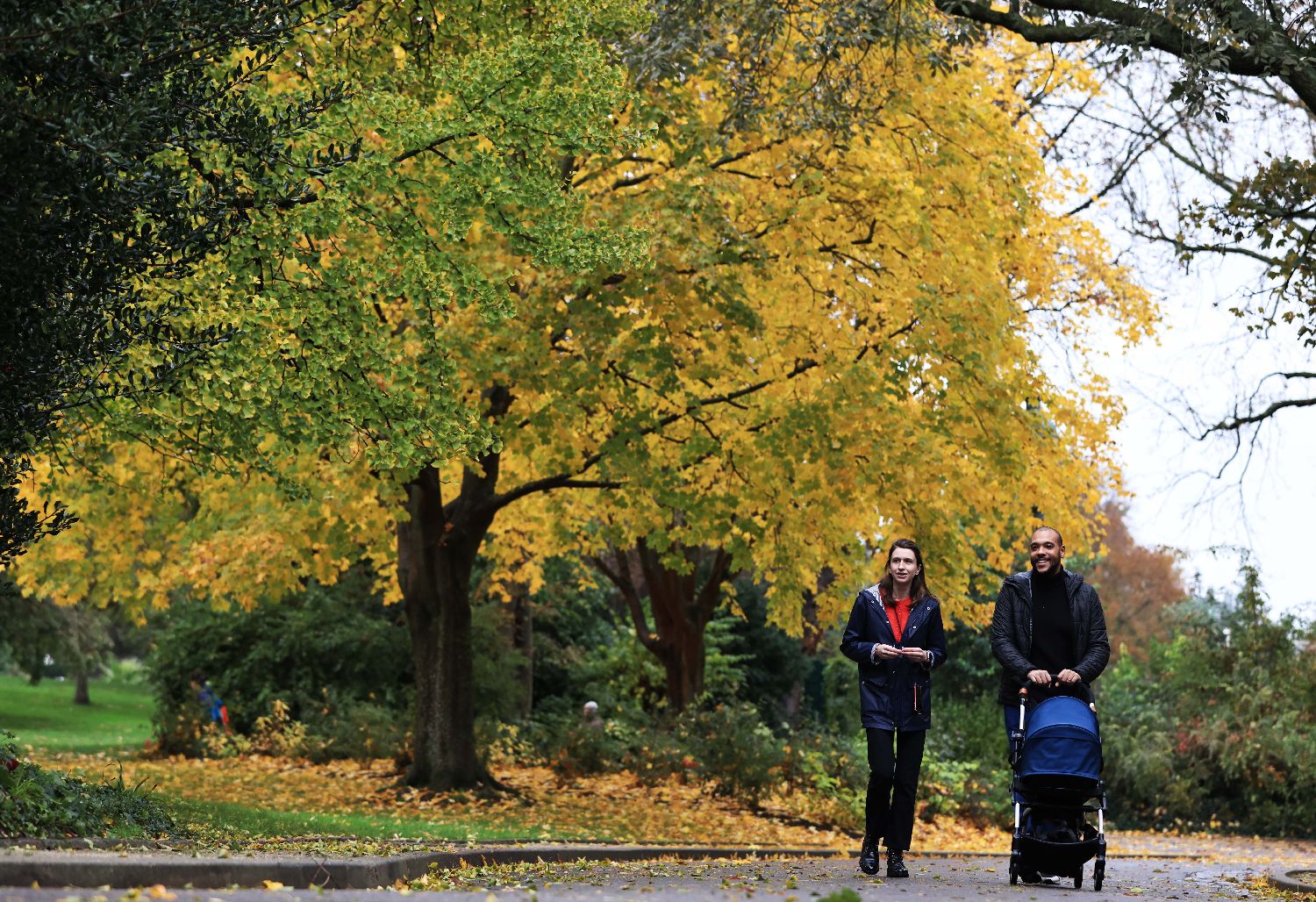 法国巴黎春天般的草木气息,法国巴黎绝美的景色