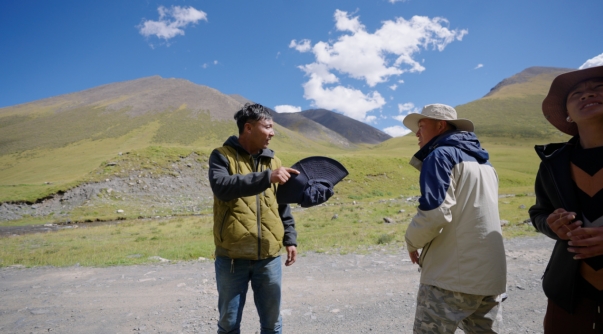 世界雪豹保护日,世界雪豹分布的国家数量