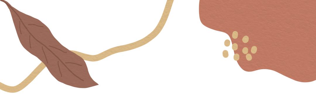 寻味宁德西施舌霞浦蛏干,霞浦干货虾干