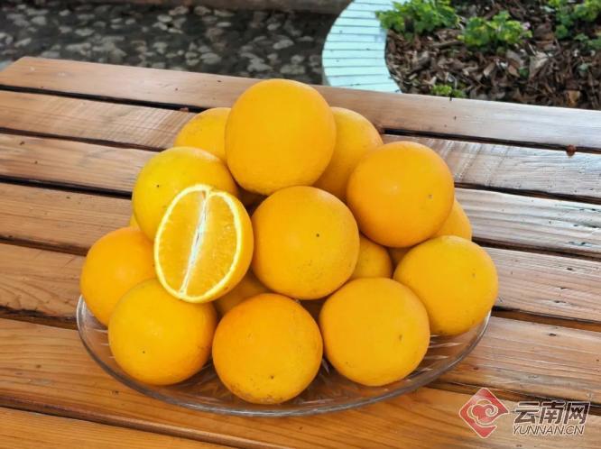 开盲盒就能免费尝新品,冰糖橙这个品种怎么样