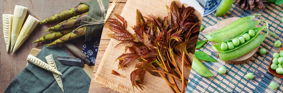 春日当季时蔬指南尝鲜唤醒味蕾,多款春日美味唤醒味蕾