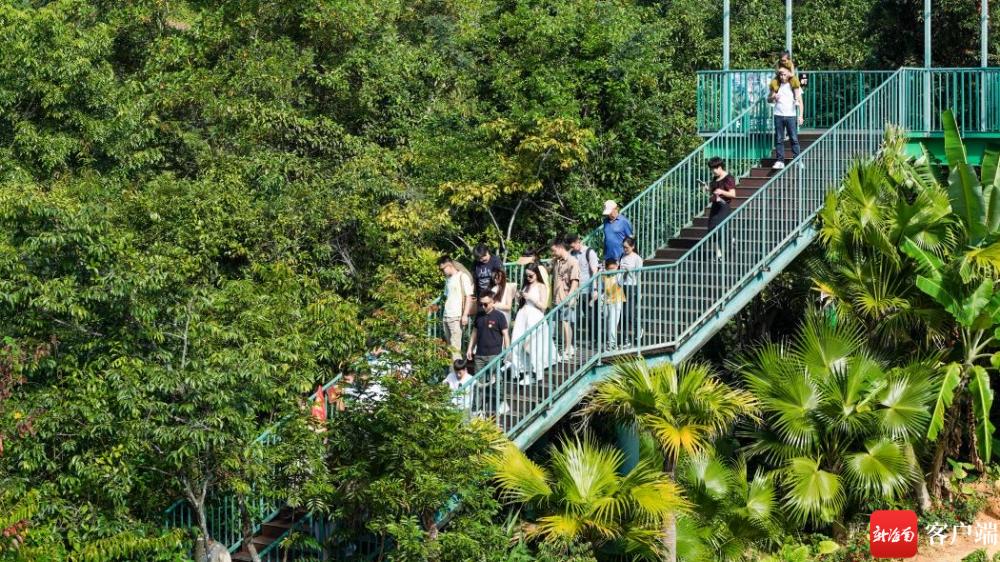 海南养生旅游,海南旅游康养