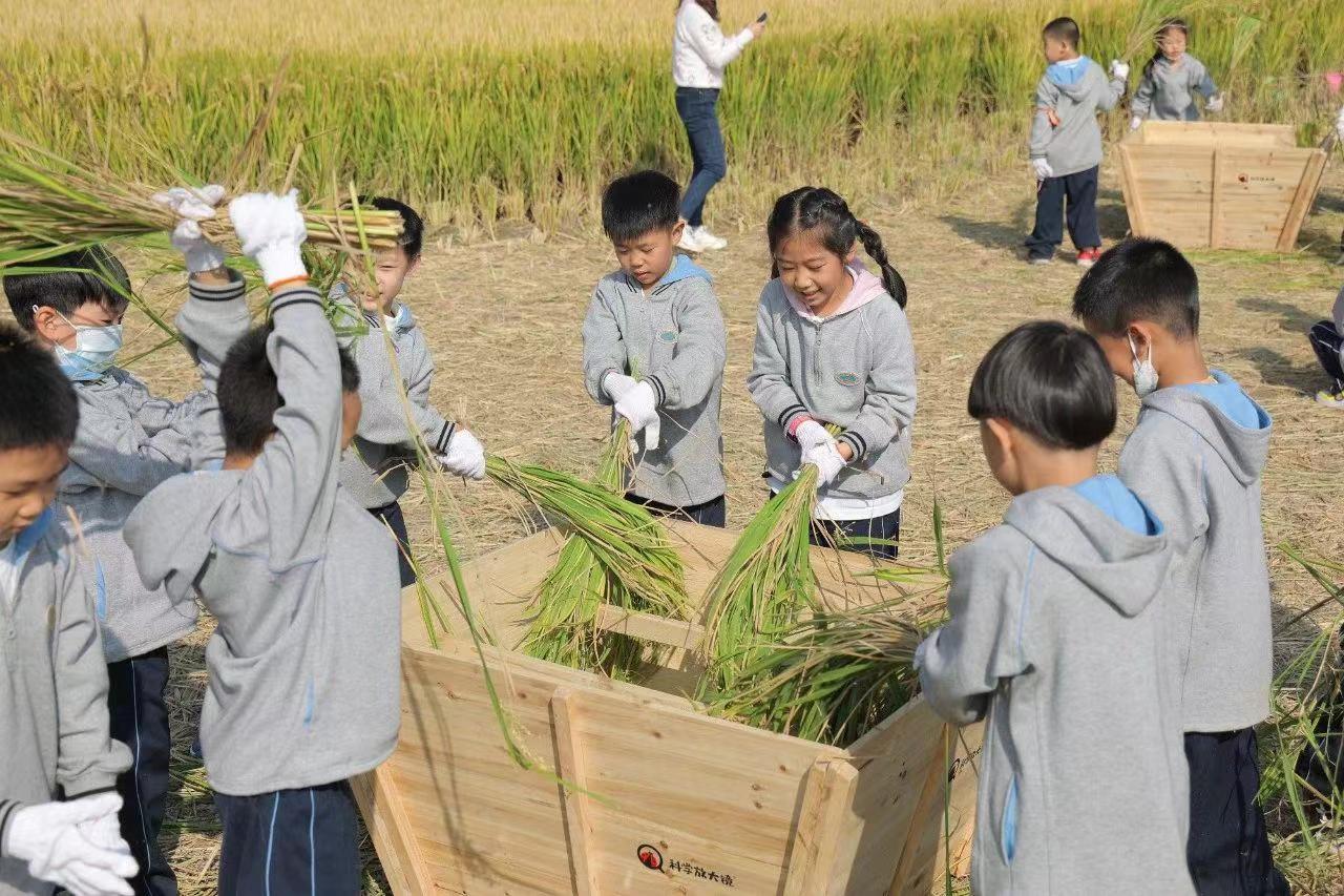 从点滴做起落实光盘行动,全民光盘行动宣传视频