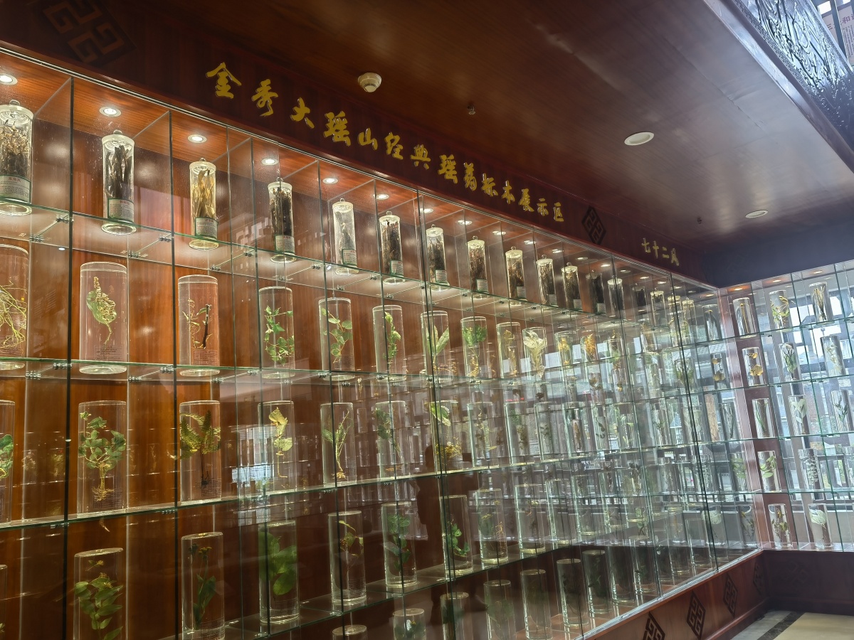 九死还魂草复活的视频,九死还魂草复活