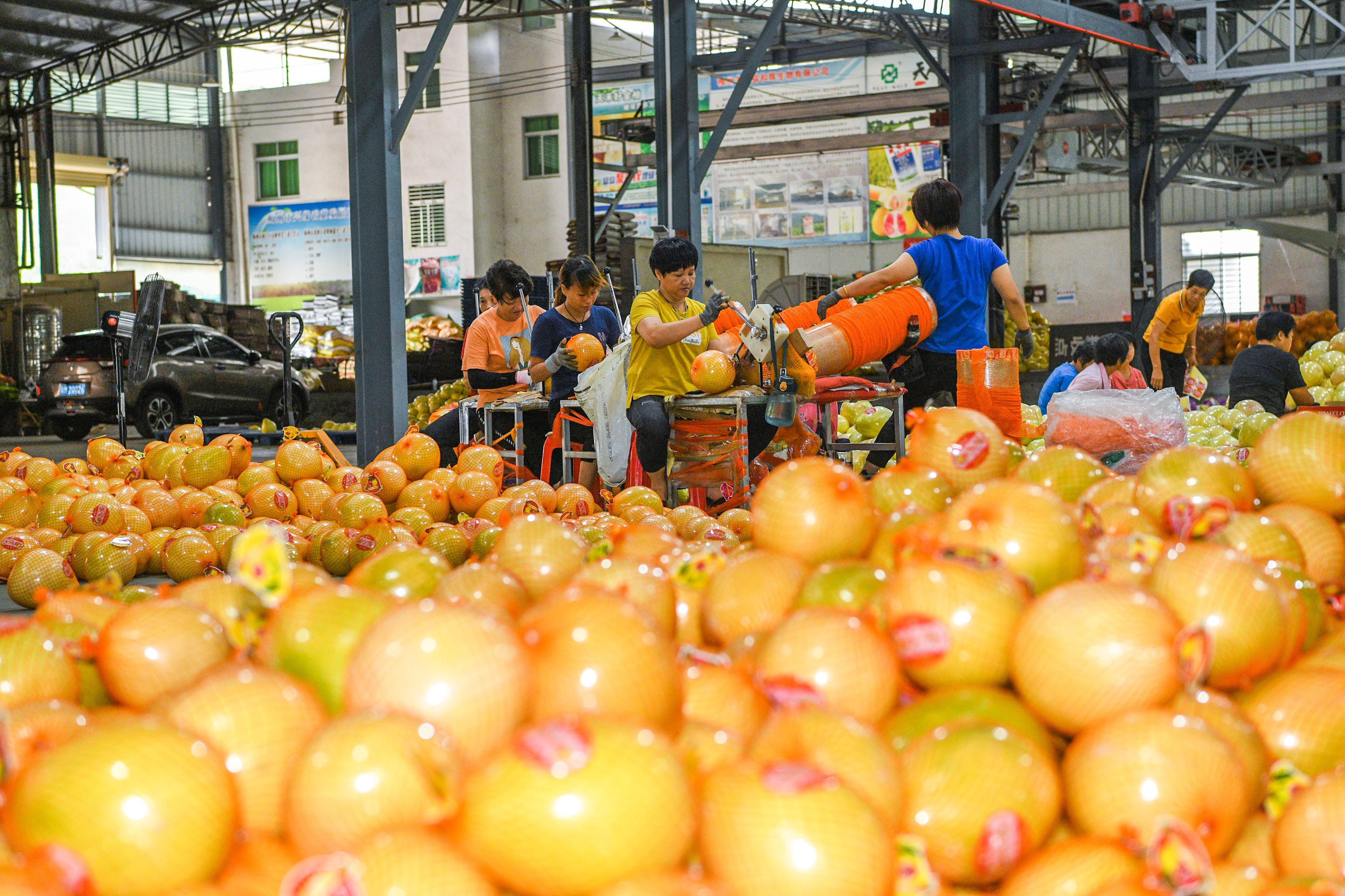 梅县松口法庭,梅县松口派出所处理纠纷事件