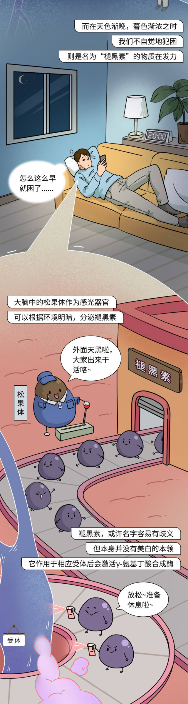 失眠自救指南央视新闻,失眠自救指南图片大全