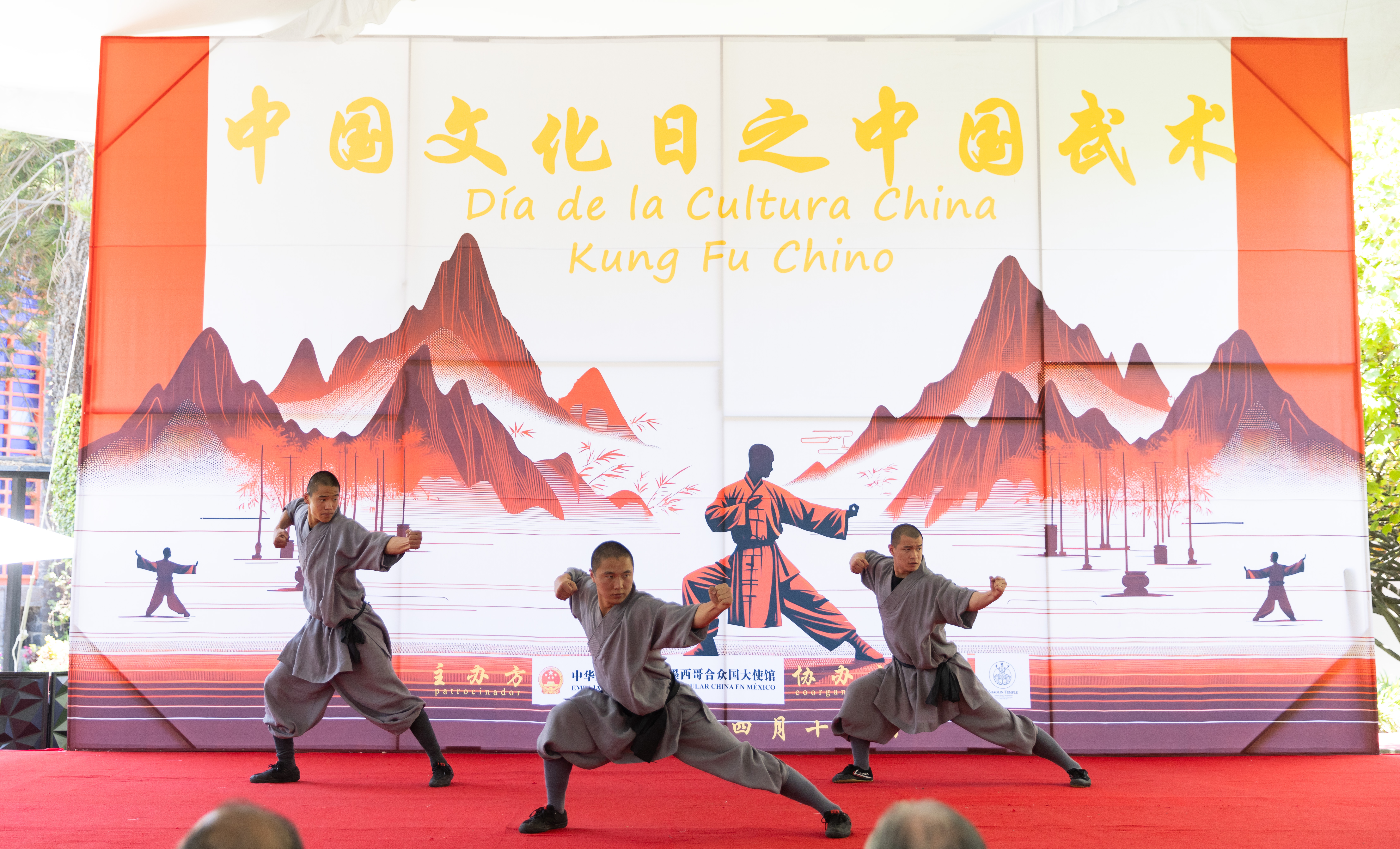 中国武术文化之旅,2023中国文化日