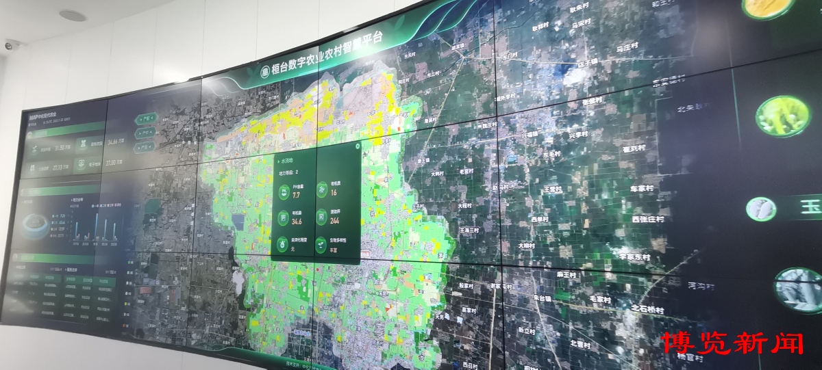 走进千强镇|唐山镇演绎“膜法传奇”