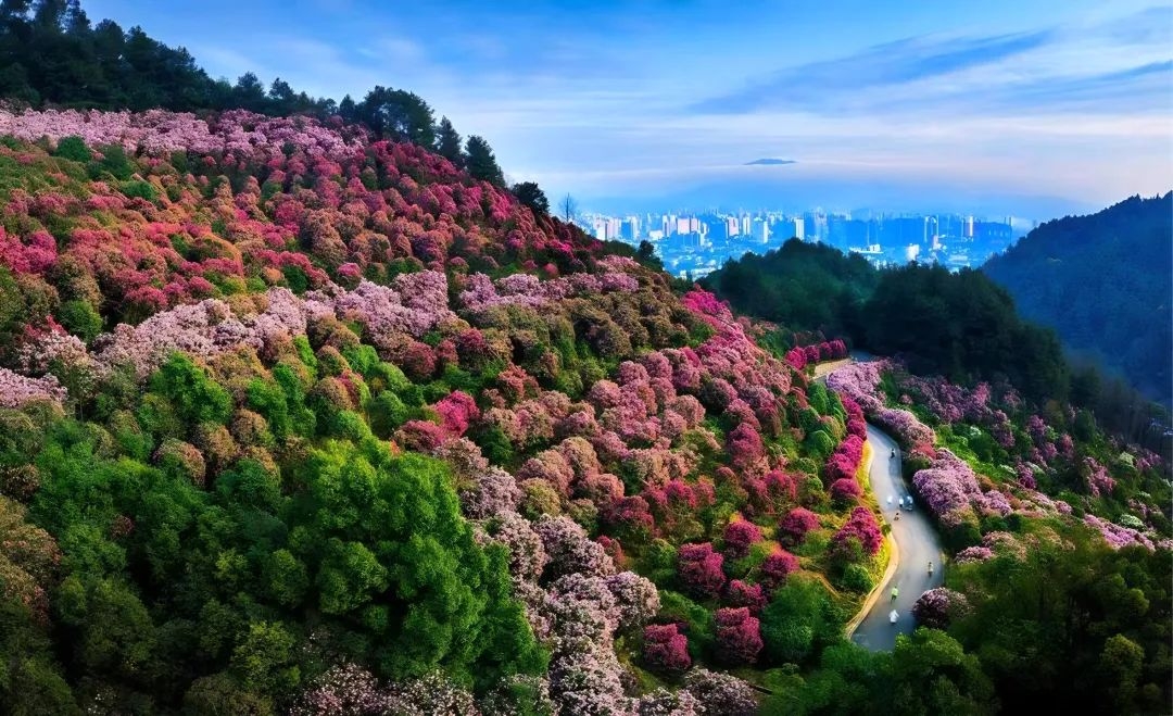 为家乡点赞！怀化市鹤城区上榜全国市辖区旅游“百强”“百佳”名单