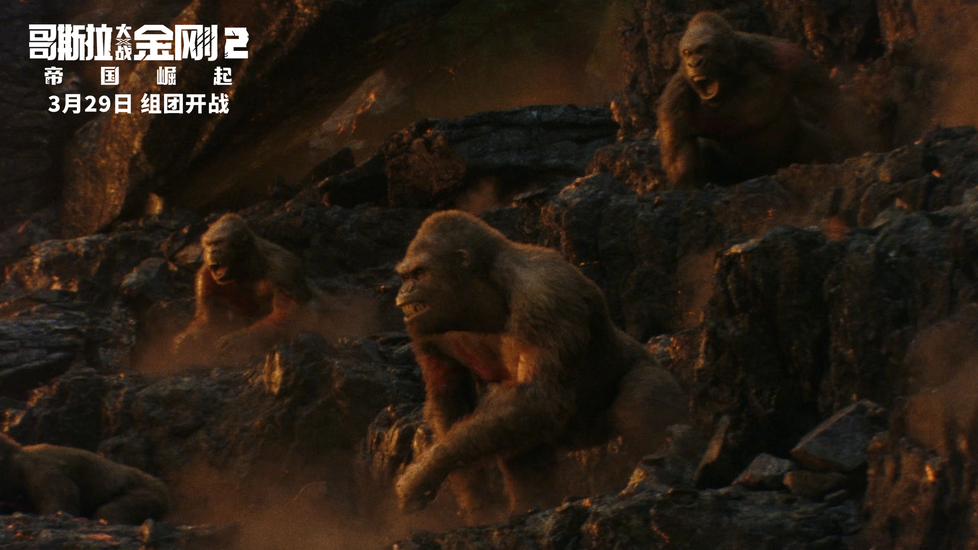 哥斯拉大战金刚2宣传视频,哥斯拉大战金刚2