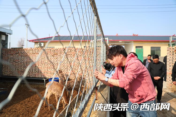 瀵绘牴浼犵粺鏂囧寲浼犳壙姘戞棌绮剧,瀵绘牴鍘嗗彶鏂囧寲寮樻壃姘戞棌绮剧瑗垮畨