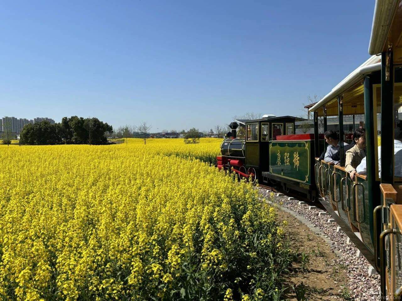 坐上开往春天的小火车,踏上开往春天的火车