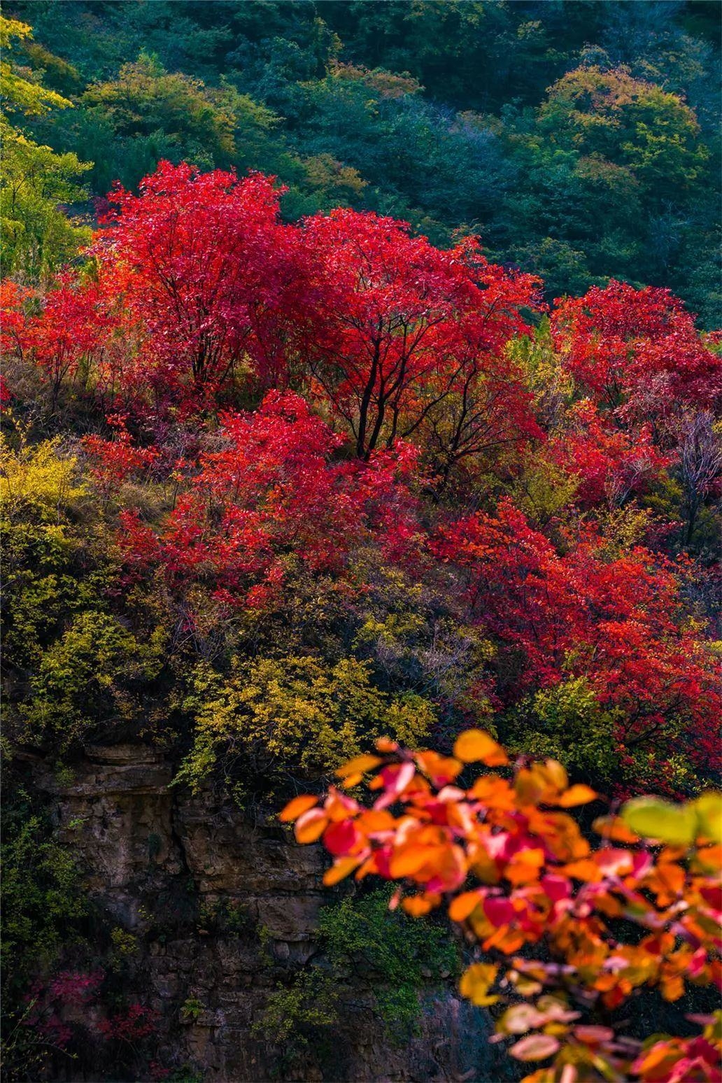 淄博潭溪山秋景,淄博看红叶最好的景点