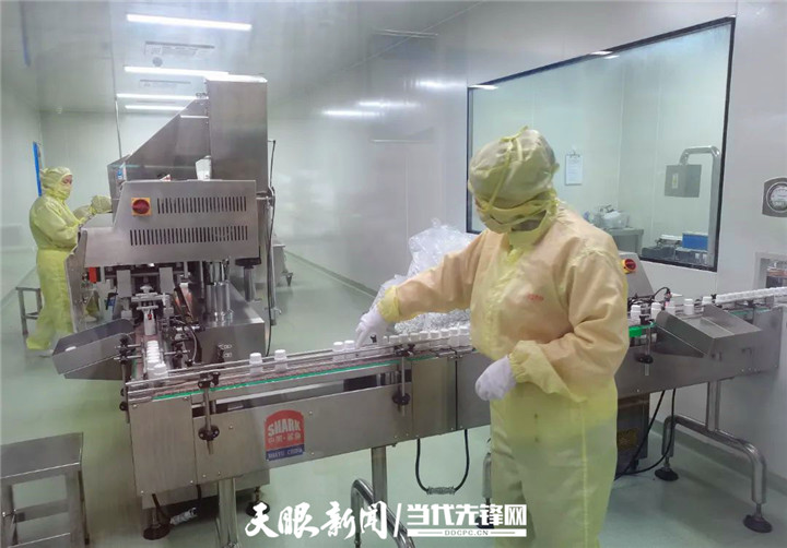 红花岗区城市发展公告,红花岗区重点工作安排