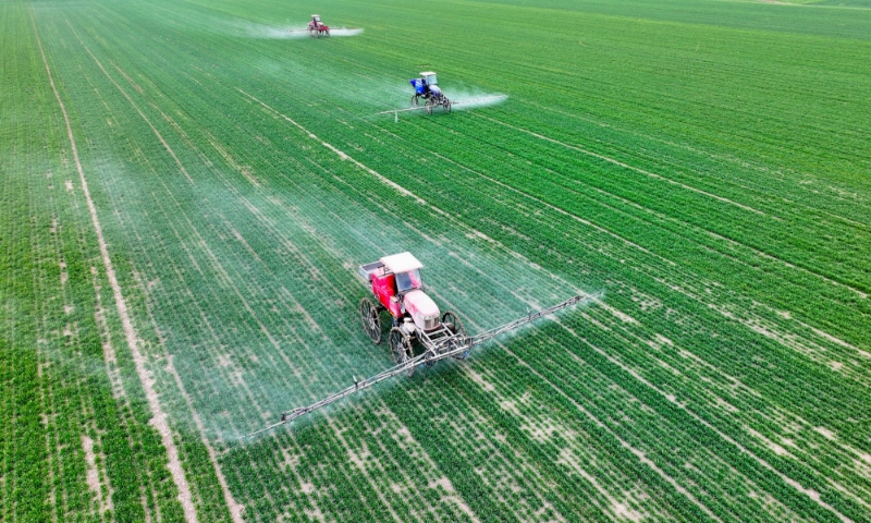 ai时政,ai时政画报梦想成真