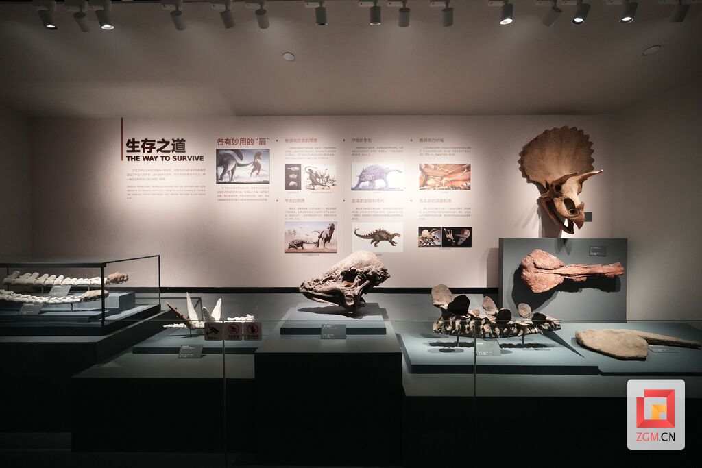 自贡恐龙博物馆参观需要多长时间,自贡恐龙博物馆门票哪些人免票