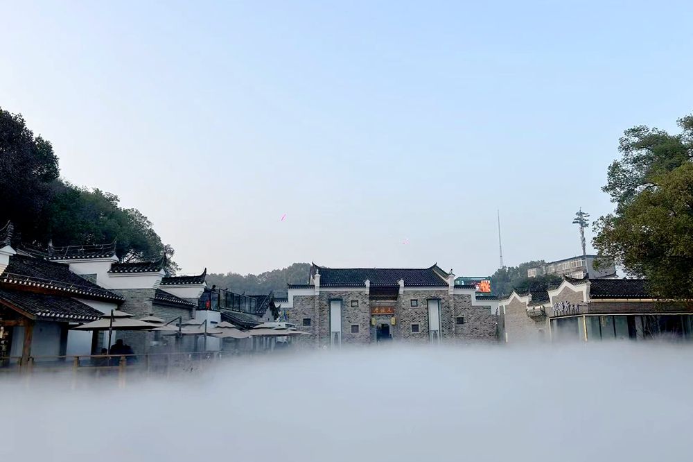 东湖评论：可惜我文笔平平，写不尽黄石这一年