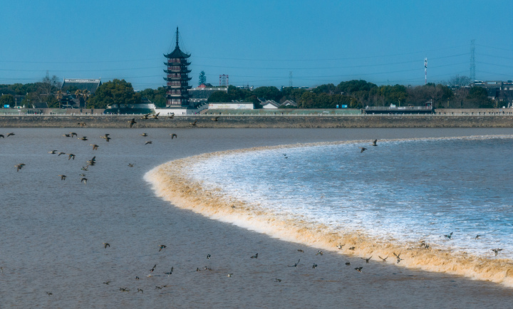海宁皮革城是郑恺家的吗,海宁皮革城现在是什么样子