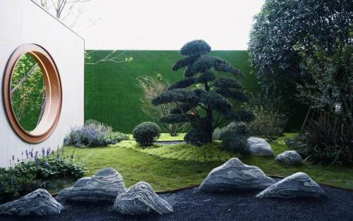 双流区2024重点项目,双流区tod最新规划