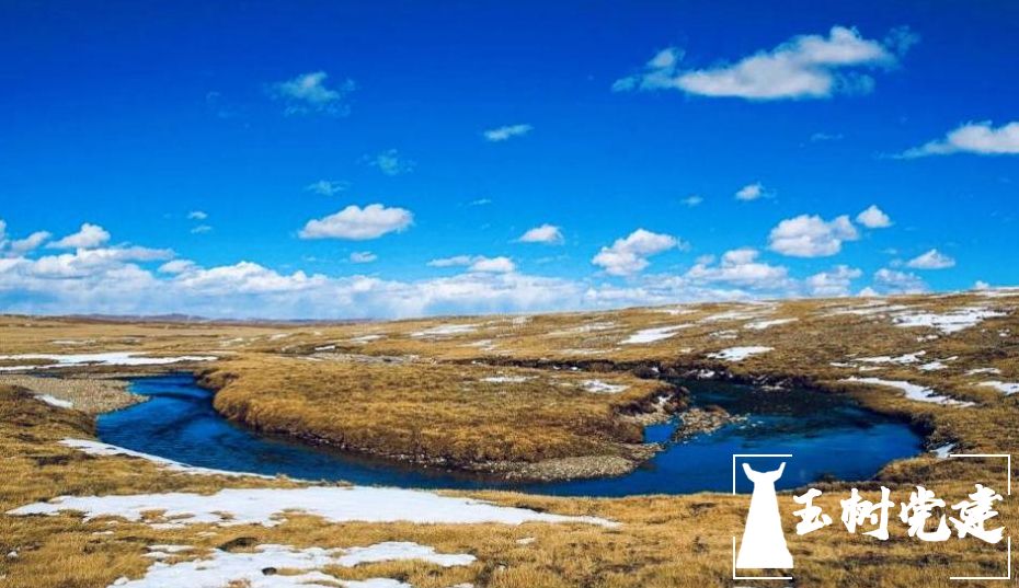 曲麻莱乡村振兴,曲麻莱县的规划图