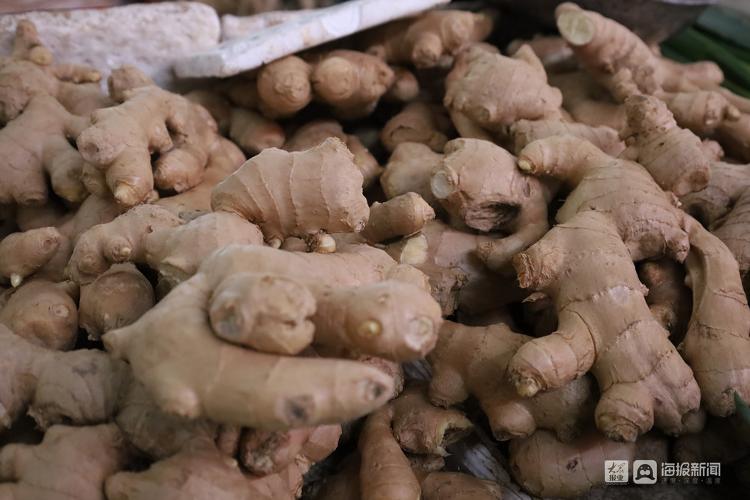 市民菜篮子有保障,市民菜篮子的视频