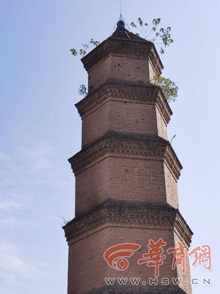 西安万寿寺藏经塔,西安万寿寺塔内部