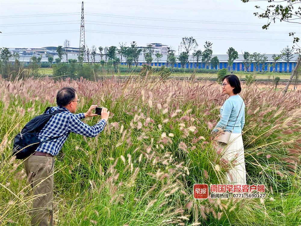 喜看家乡新变化四年级350字,喜看家乡新变化内容